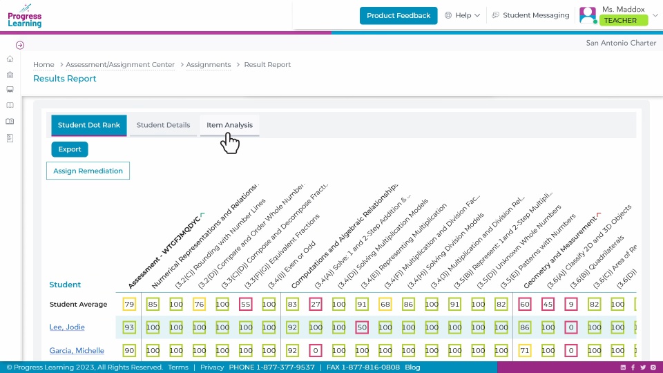 Screenshot from Item Analysis video